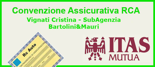 BannerAssicurazione Vignati